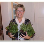 Kjersti Bylin Casteryd