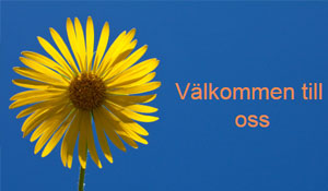 Hela människan