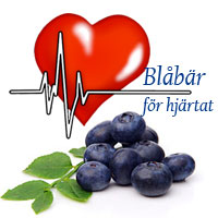 Blåbär studie